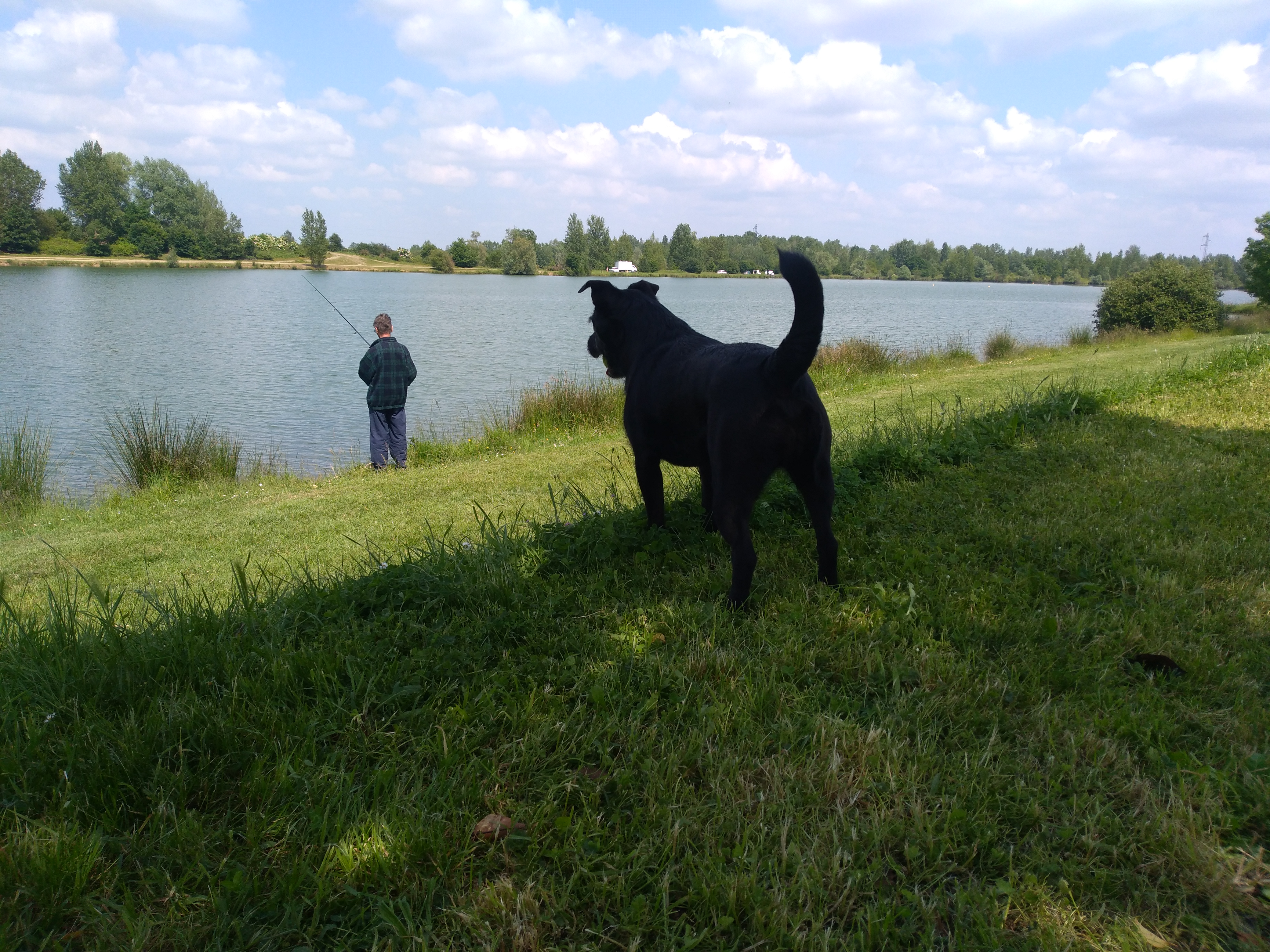 Photo n° 2 de l'avis de Lamenace.a fait le 24/05/2018 à 15:21