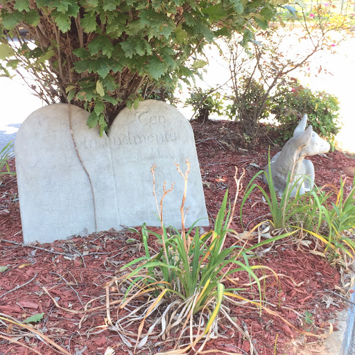 Pet Supply Store «The Stock Market Country Store», reviews and photos, 4479 Dover Pl SE, Conyers, GA 30013, USA