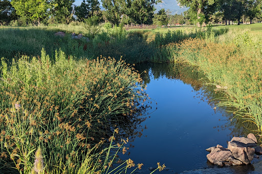 Golf Course «Patty Jewett Municipal Golf Course», reviews and photos, 900 E Espanola St, Colorado Springs, CO 80907, USA