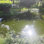 Photo n°18 de l'avis de Mich. fait le 05/09/2021 à 19:47 sur le  La Fattoria di Valentino à Frattocchie