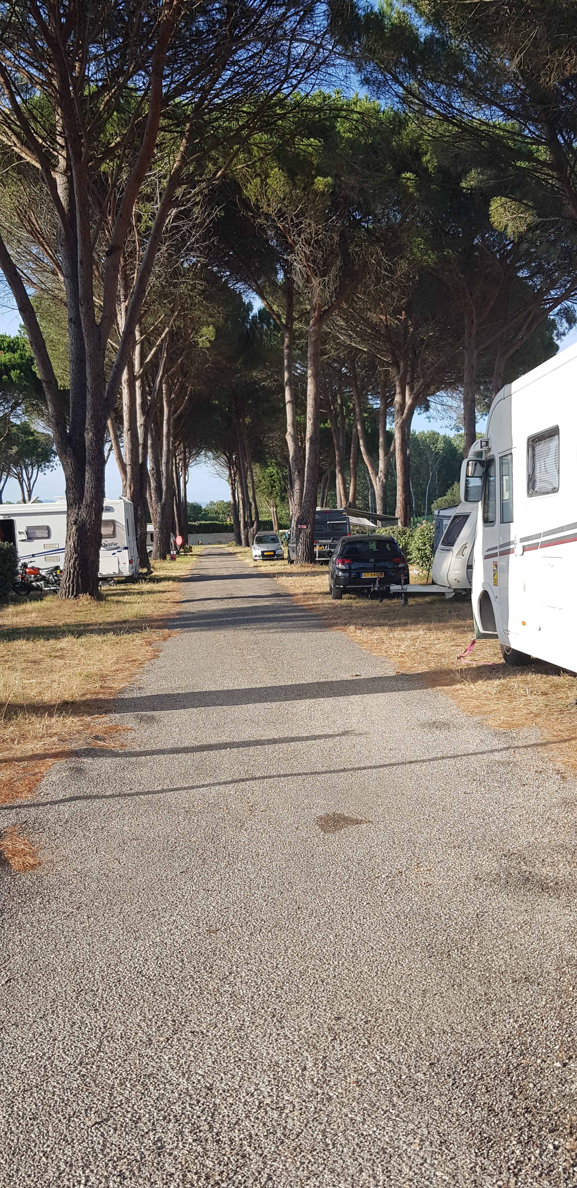 Photo n° 3 de l'avis de Jan.o fait le 12/06/2022 à 17:27