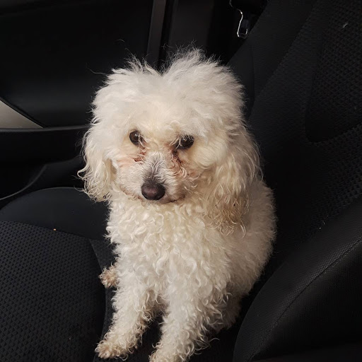 Tropical Fish Store «Ironbound Pet Shop», reviews and photos, 246 Ferry St # 5, Newark, NJ 07105, USA