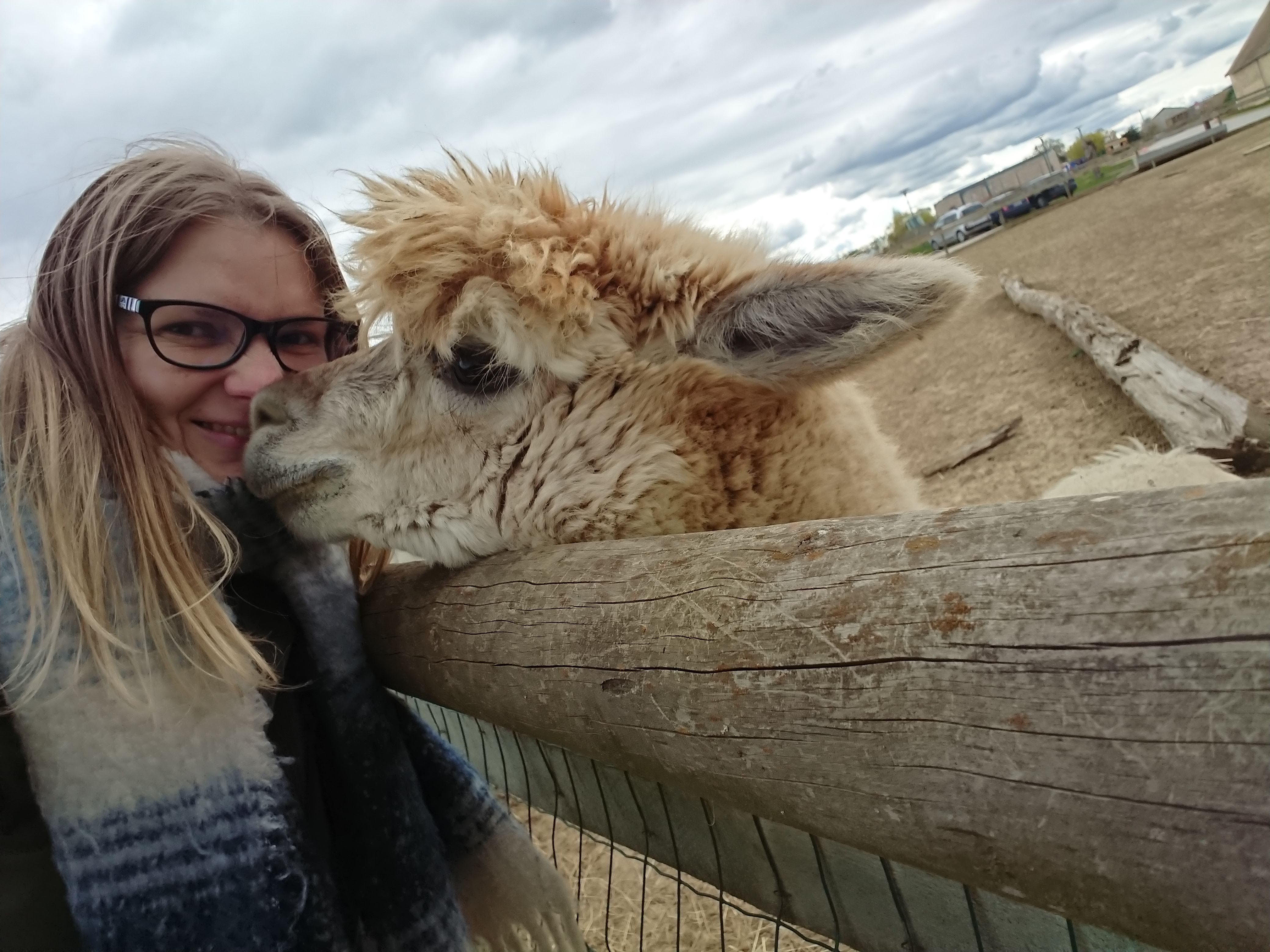 Photo n° 1 de l'avis de chinchilette. fait le 21/04/2019 à 12:29