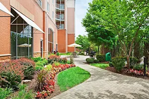 Staybridge Suites Chattanooga Dwtn - Conv Ctnr, an IHG Hotel image