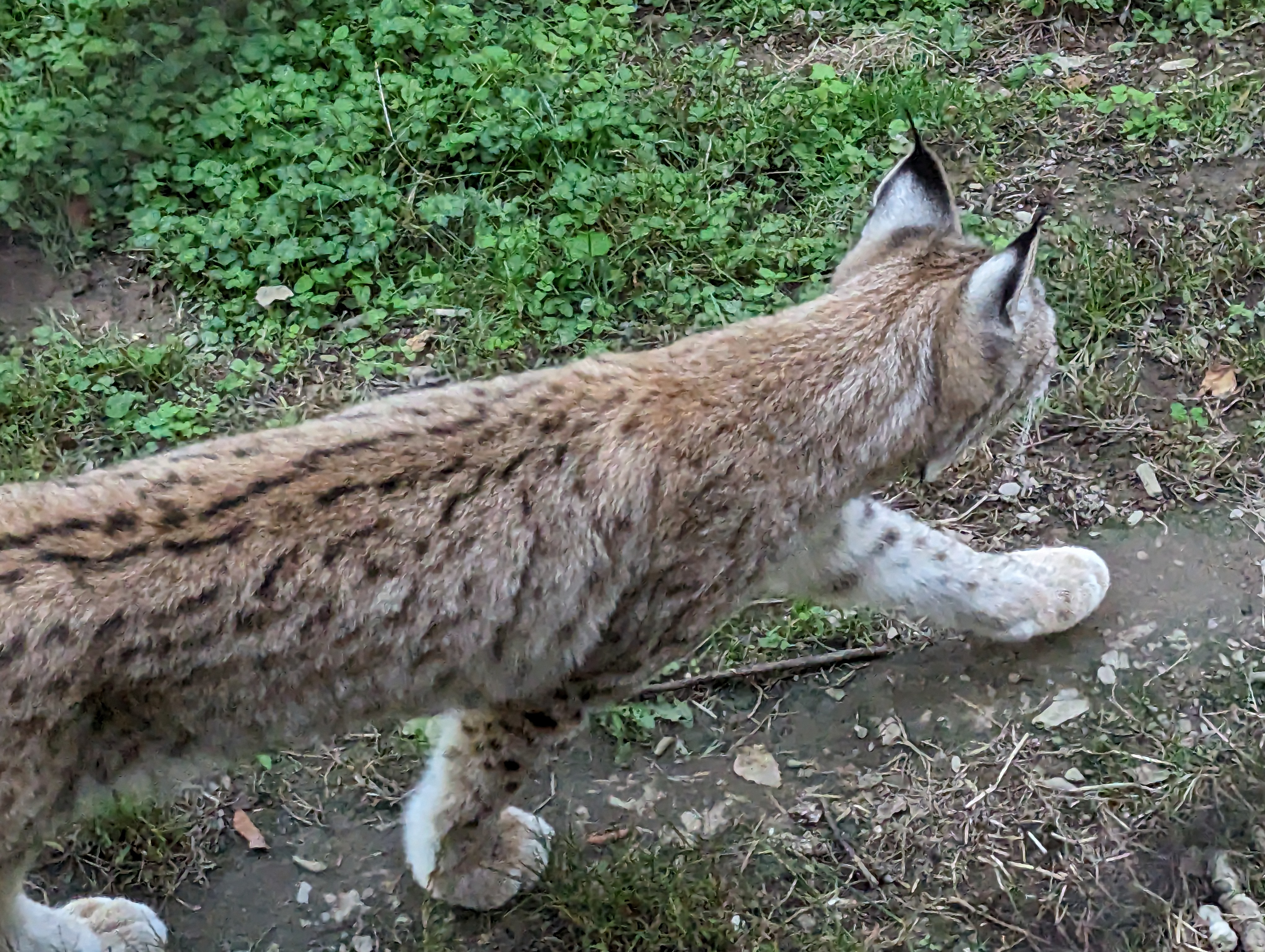 Photo n° 11 de l'avis de Thibaud.l fait le 10/10/2023 à 07:10