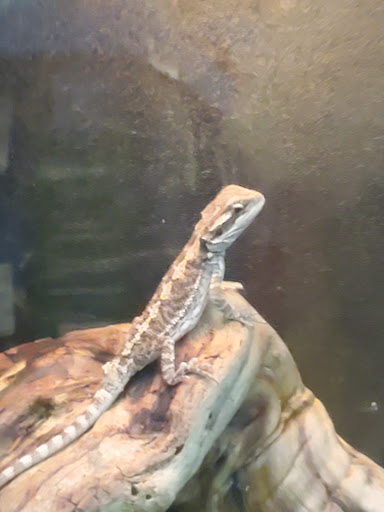 Pet Supply Store «PetSmart», reviews and photos, 170 Marketplace Blvd, Hamilton Township, NJ 08691, USA