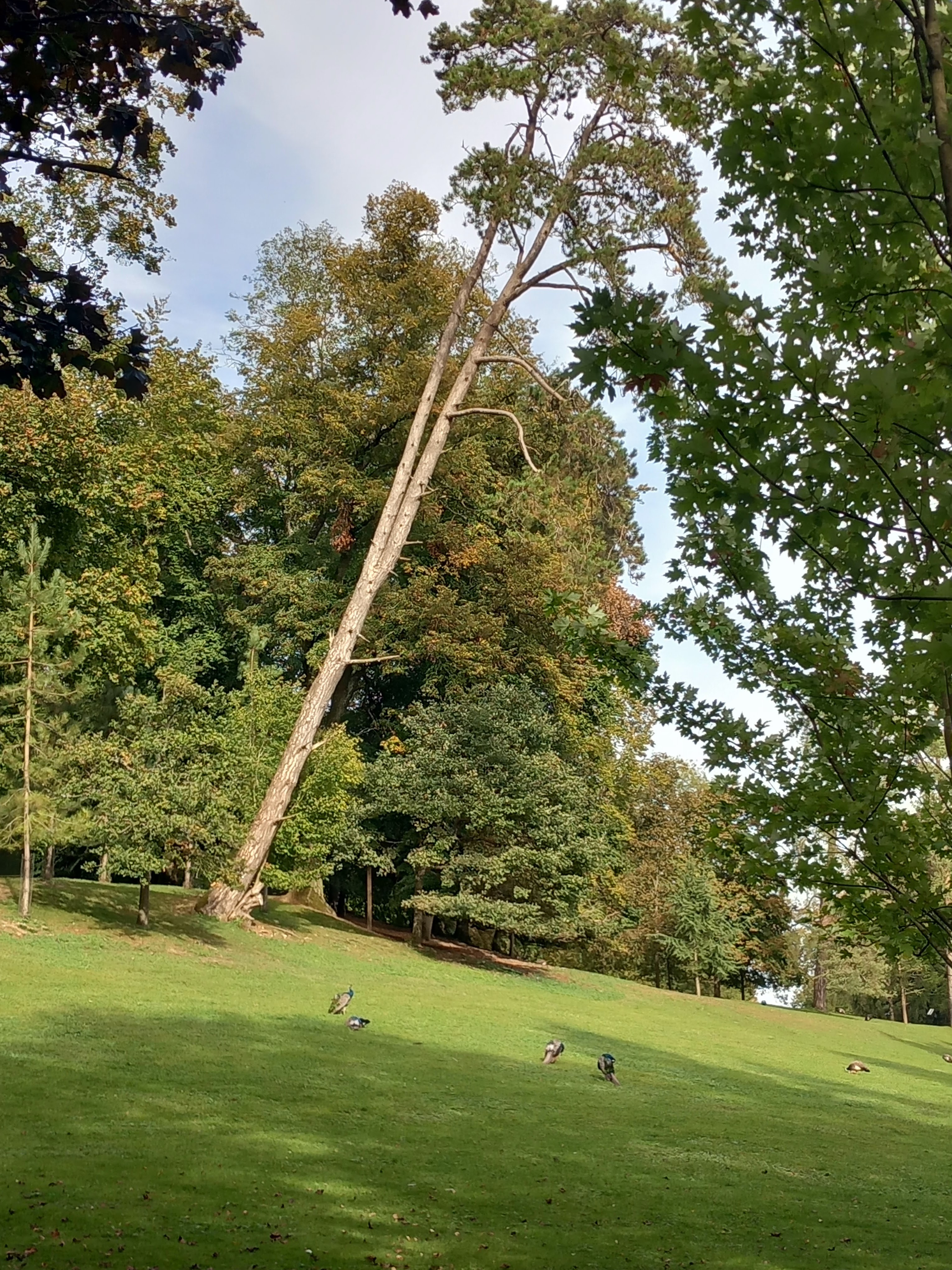 Photo n° 32 de l'avis de Julien.a fait le 11/10/2023 à 18:47