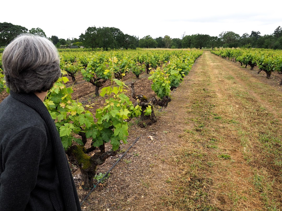 Carlisle Winery & Vineyards