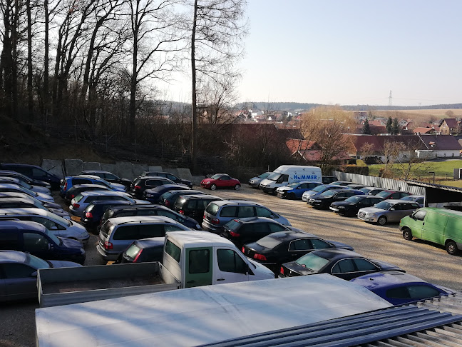 Rezensionen über Autoverwertung-Pertzl in Thun - Andere