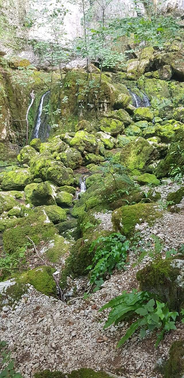 Photo n° 1 de l'avis de Laurent.o fait le 18/08/2019 à 15:57