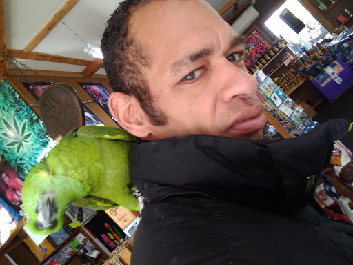 Boutique «Su Casa Boutique», reviews and photos, 1041 N Cedar St, Lansing, MI 48906, USA