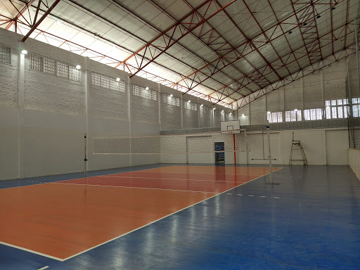 Liga Vallecaucana de Voleibol