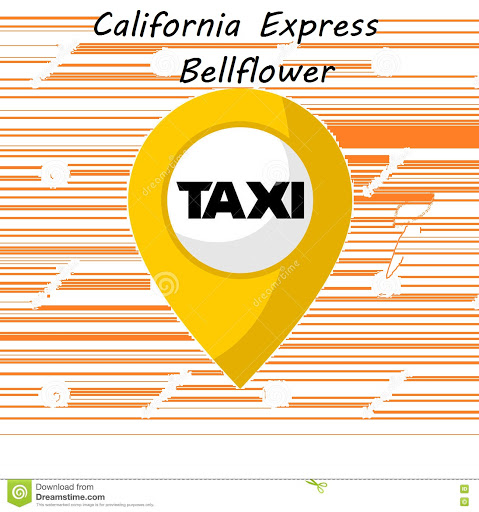 Minibus taxi service Long Beach