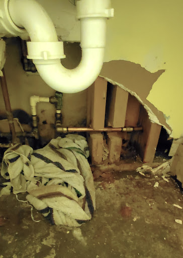 Plumber «Roto-Rooter Plumbing & Drain Services», reviews and photos, 18544 US Hwy 19 N, Clearwater, FL 33764, USA