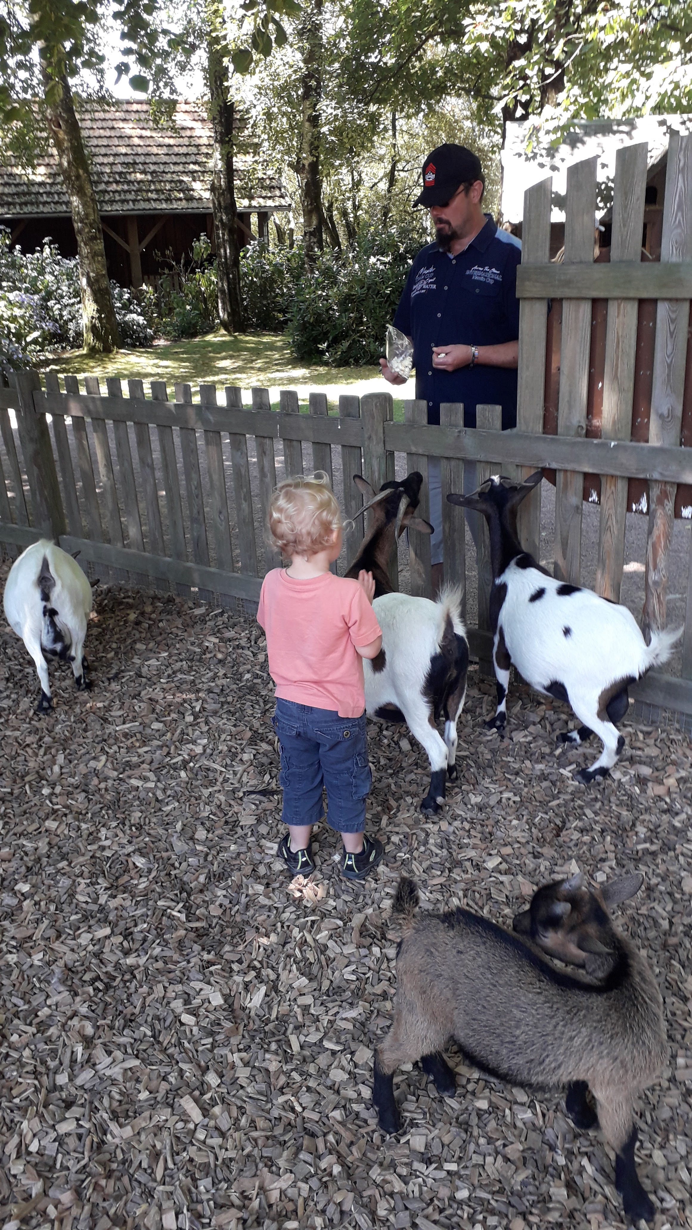 Photo n° 2 de l'avis de Melody. fait le 14/07/2019 à 09:31