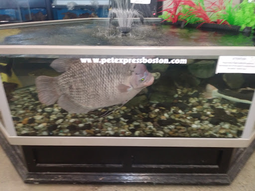 Pet Supply Store «Pet Express», reviews and photos, 180 Commercial St, Lynn, MA 01905, USA