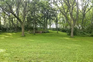 South Hills Disc Golf Course image