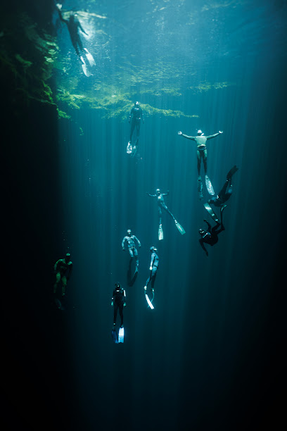 Freefall Divers