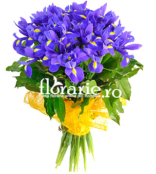 Florarie.ro - Florărie