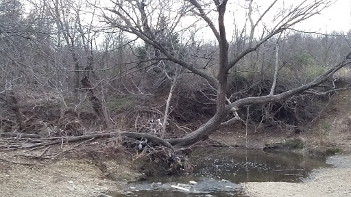 Park «Buffalo Ridge Park», reviews and photos, 5720 Parkwood Trail, Haltom City, TX 76137, USA