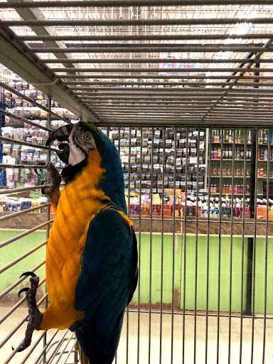 Pet Supply Store «Super Pet Store», reviews and photos, 5220 S Pulaski Rd, Chicago, IL 60632, USA