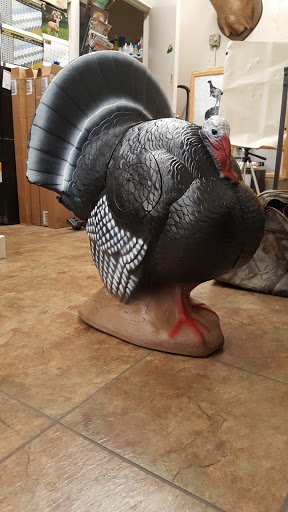 Archery Store «Bills Archery», reviews and photos, 3530 US-79, Paris, TN 38242, USA