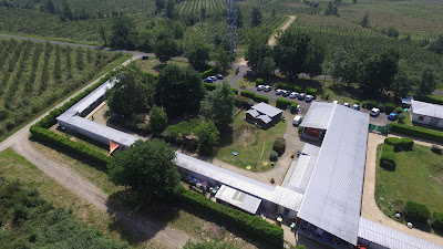 La Société Protectrice des Animaux (SPA) - Refuge de Saint-Pierre-du-Mont à Saint-Pierre-du-Mont