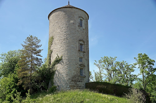 Château de Clairvaux-les-Lacs à Clairvaux-les-Lacs