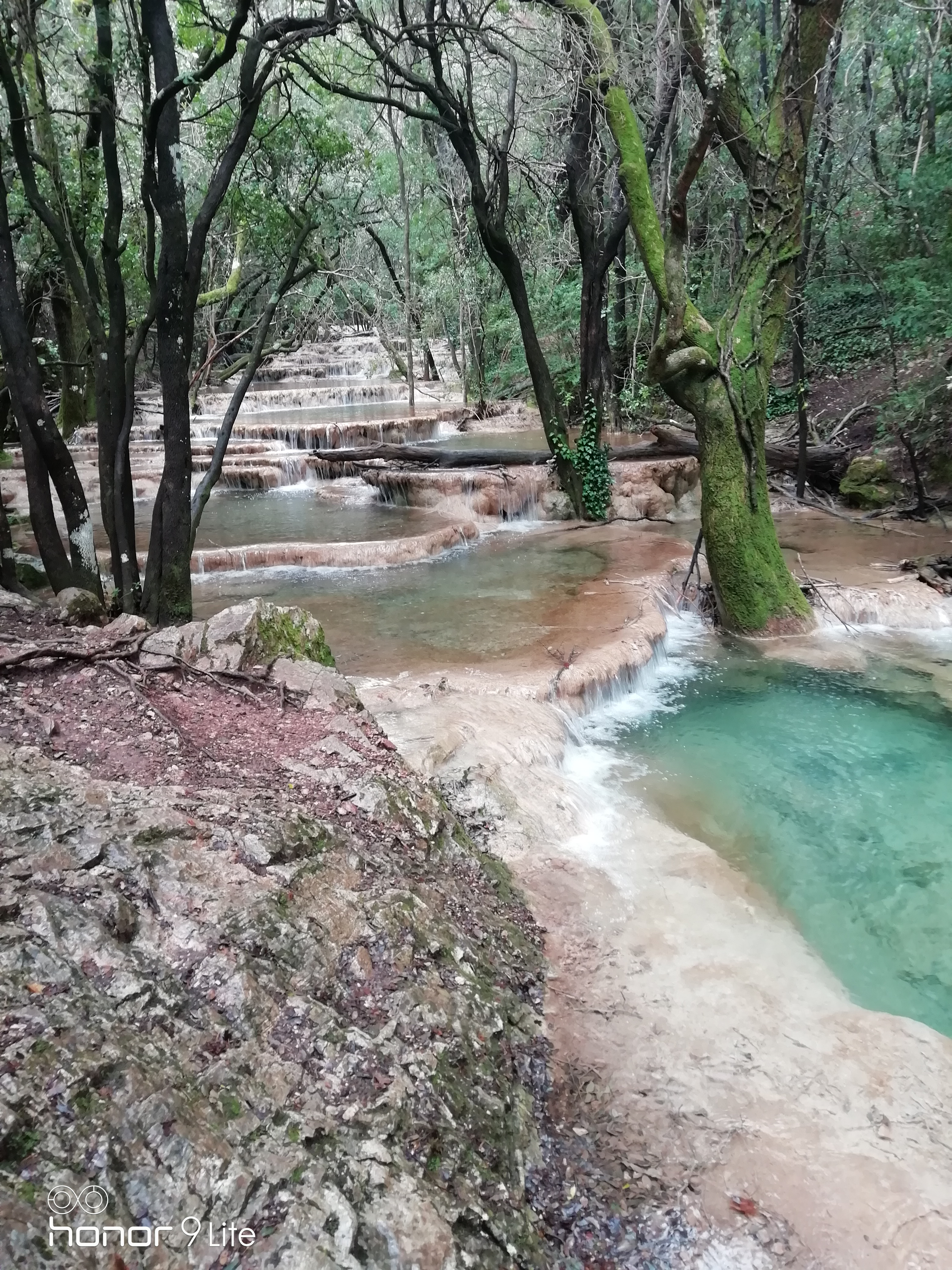 Photo n° 1 de l'avis de Regine.H fait le 09/04/2019 à 20:31