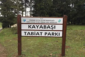 Kayabaşı Nature Park image