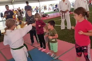 Karate-Do International Magyarország image