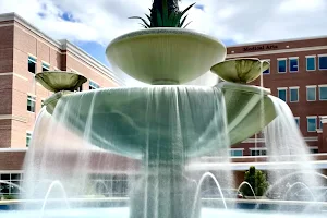 Pineapple Water Fountain image