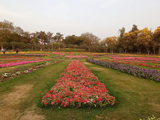 Nehru Park, Delhi