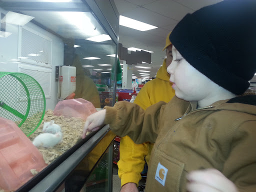 Pet Supply Store «Petco Animal Supplies», reviews and photos, 1450 Twixt Town Rd, Marion, IA 52302, USA