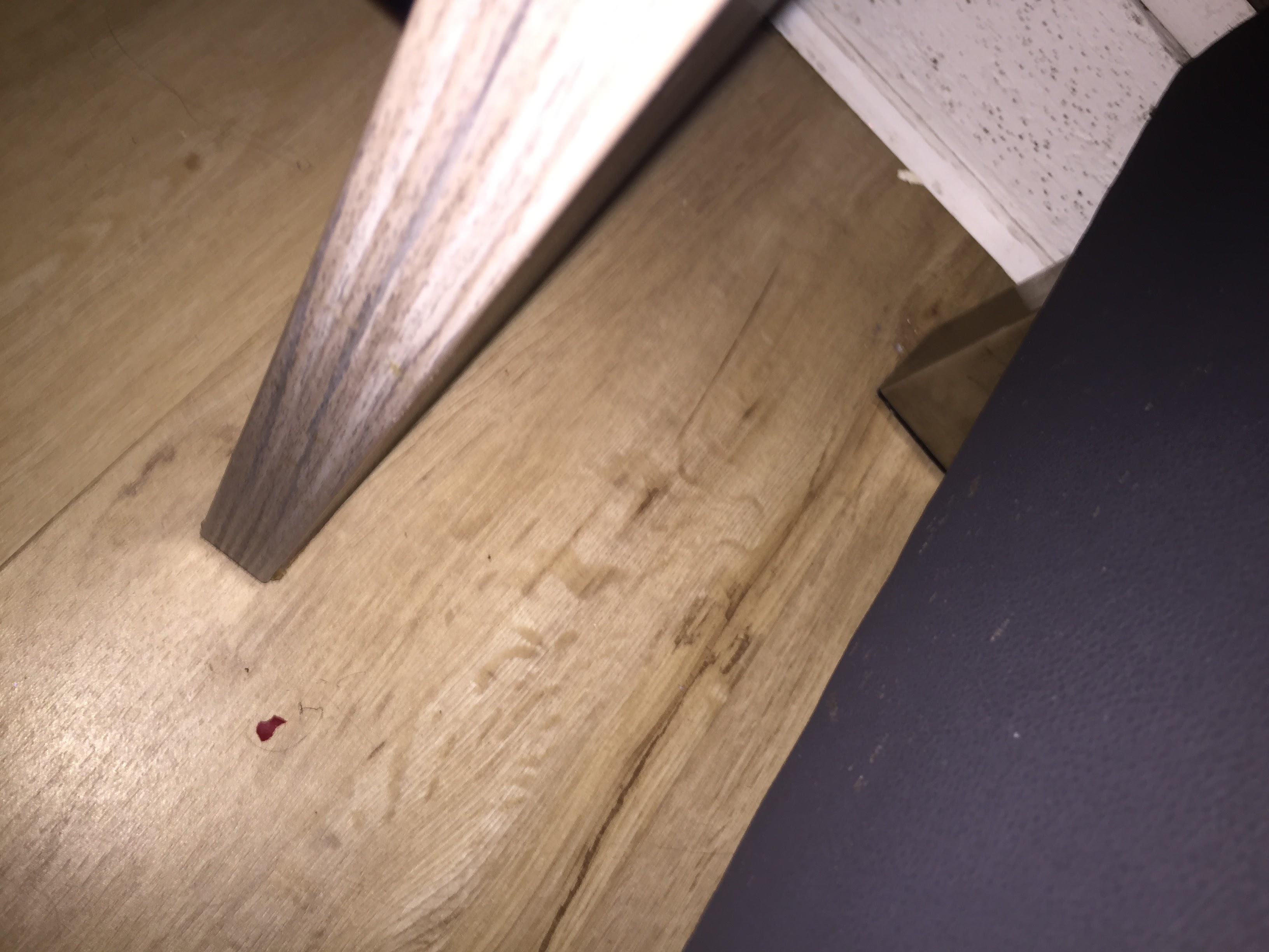 Photo n° 3 de l'avis de Audeline.e fait le 01/04/2024 à 20:21