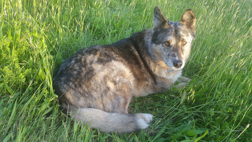 Shopping Mall «East Lake Village Shopping Center», reviews and photos, 936 E Lake Ave, Watsonville, CA 95076, USA