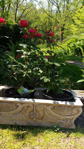 Florist «Colonial Floral & Gifts», reviews and photos, 123 S Main St, Waynesville, NC 28786, USA