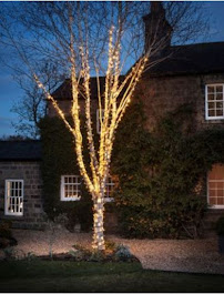 Holiday Lighting Heroes of Hudson-Stow - Photo 6 - Car repair in , Akron