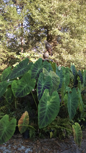 Garden Center «Goodness Grows», reviews and photos, 332 Elberton Rd, Lexington, GA 30648, USA