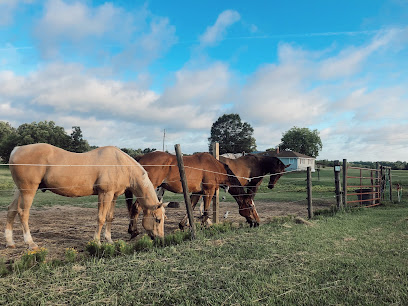 Yonahlossee Saddle Club