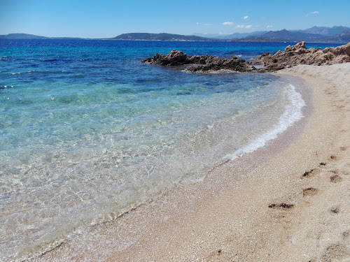 Spiaggia dell'isola dei Topi photo #2