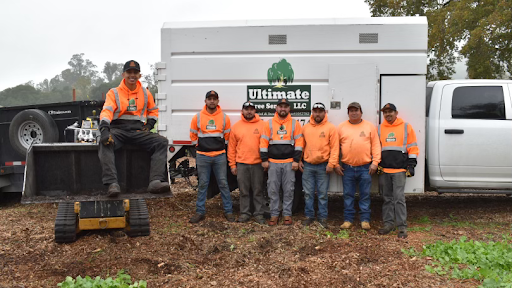 Ultimate Tree Service, LLC
