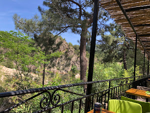 Photo n°102 de Restaurant U Rosumarinu à Sari-Solenzara ()