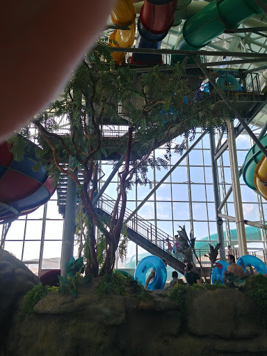 Water Park «Watiki Indoor Waterpark Resort», reviews and photos, 1314 N Elk Vale Rd, Rapid City, SD 57701, USA