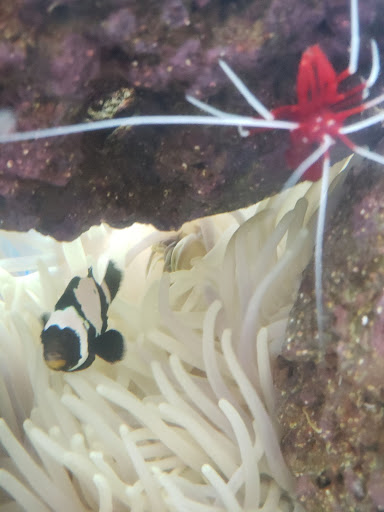 Pet Supply Store «Petco Animal Supplies», reviews and photos, 1574 N Dupont Hwy #300, Dover, DE 19901, USA