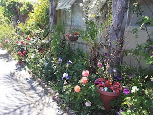Meadows Mobile Home Community - photo 30