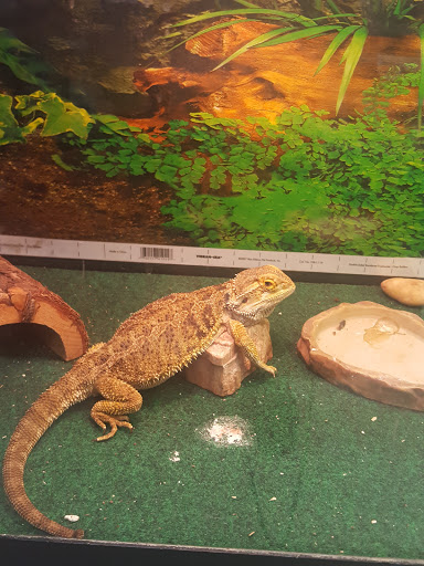 Pet Supply Store «Petland Discounts - Riverdale», reviews and photos, 5540 Broadway, Bronx, NY 10463, USA