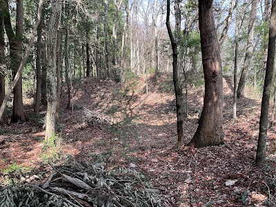 逆面城跡