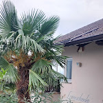 Photo n°3 de l'avis de Guenther.f fait le 06/11/2023 à 21:57 sur le  Panorama-Restaurant Leitenschenke à Tscherms