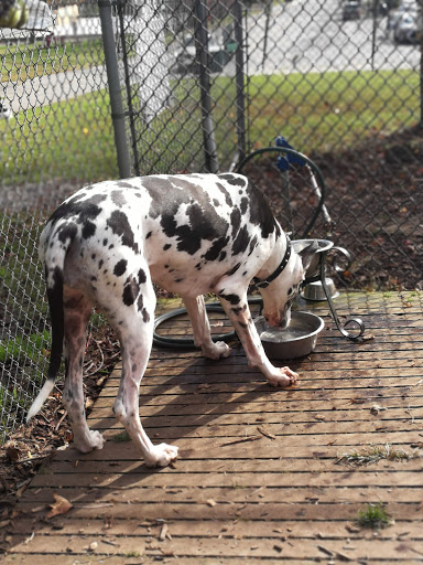 Park «Christopher Morley Park», reviews and photos, 500 Searingtown Rd N, Roslyn, NY 11576, USA